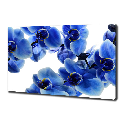 Quadro stampa su tela Orchidea blu