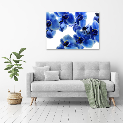 Quadro stampa su tela Orchidea blu