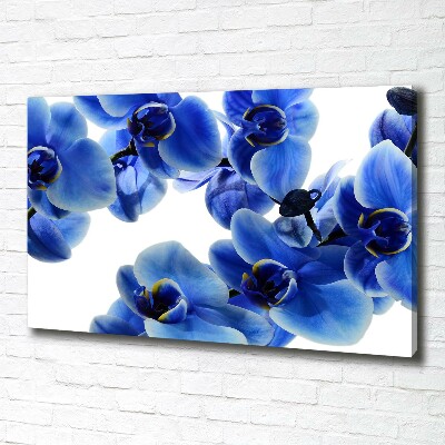 Quadro stampa su tela Orchidea blu