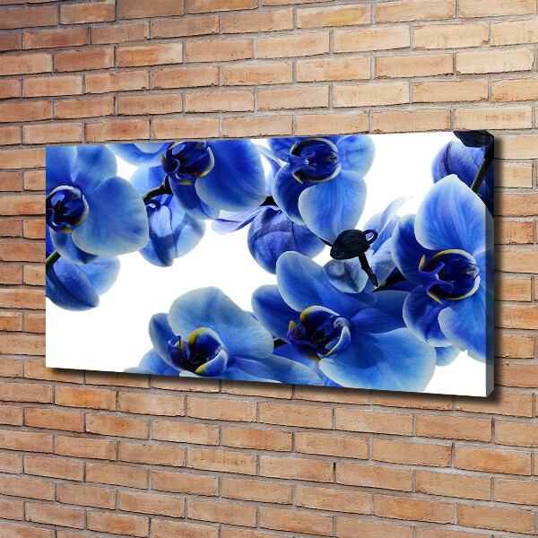 Quadro stampa su tela Orchidea blu
