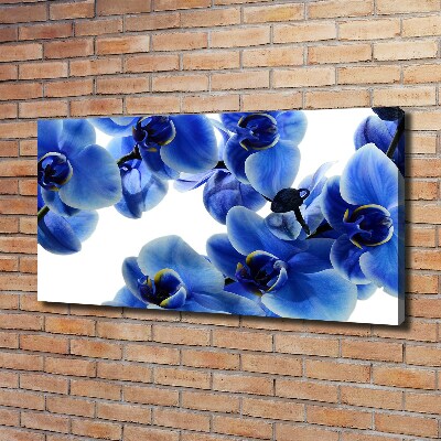 Quadro stampa su tela Orchidea blu