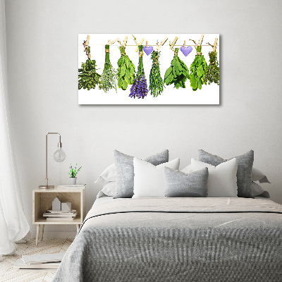 Foto quadro su tela Erbe aromatiche su un filo