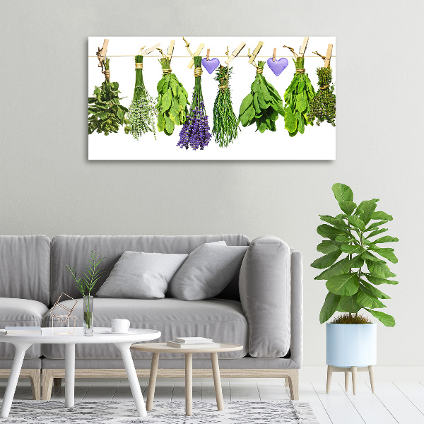 Foto quadro su tela Erbe aromatiche su un filo