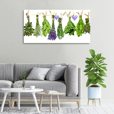 Foto quadro su tela Erbe aromatiche su un filo