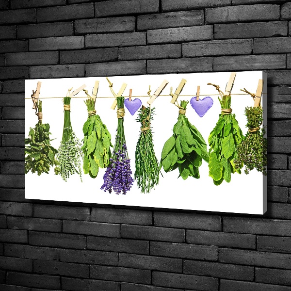 Foto quadro su tela Erbe aromatiche su un filo