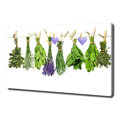 Foto quadro su tela Erbe aromatiche su un filo