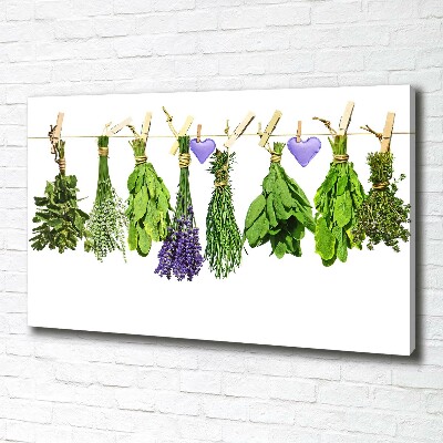 Foto quadro su tela Erbe aromatiche su un filo