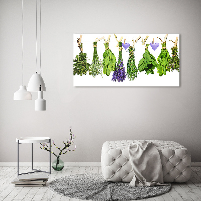Foto quadro su tela Erbe aromatiche su un filo