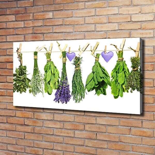 Foto quadro su tela Erbe aromatiche su un filo