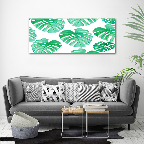 Foto quadro su tela Monstera