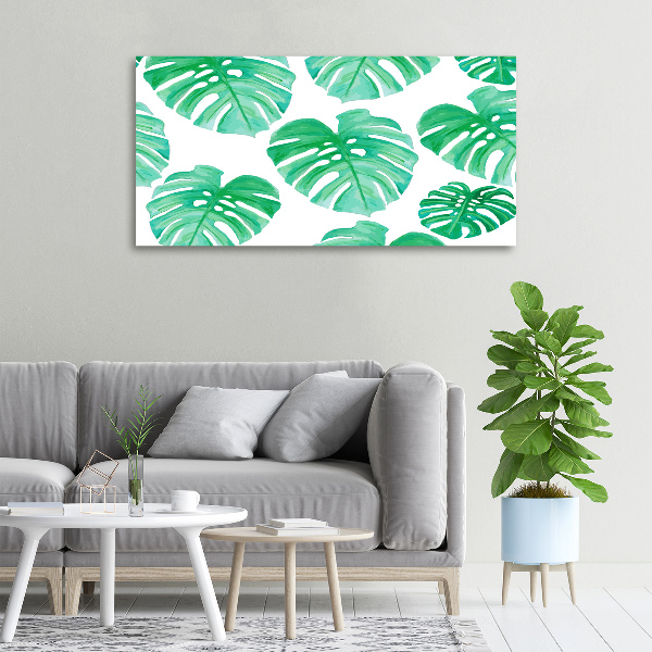 Foto quadro su tela Monstera