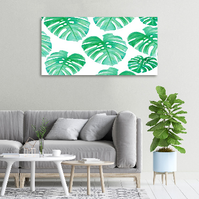 Foto quadro su tela Monstera