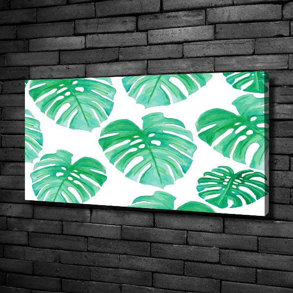 Foto quadro su tela Monstera
