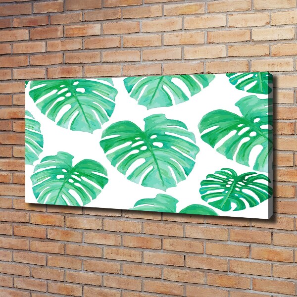 Foto quadro su tela Monstera