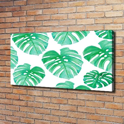Foto quadro su tela Monstera