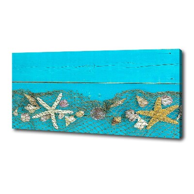 Quadro su tela Stelle marine e conchiglie