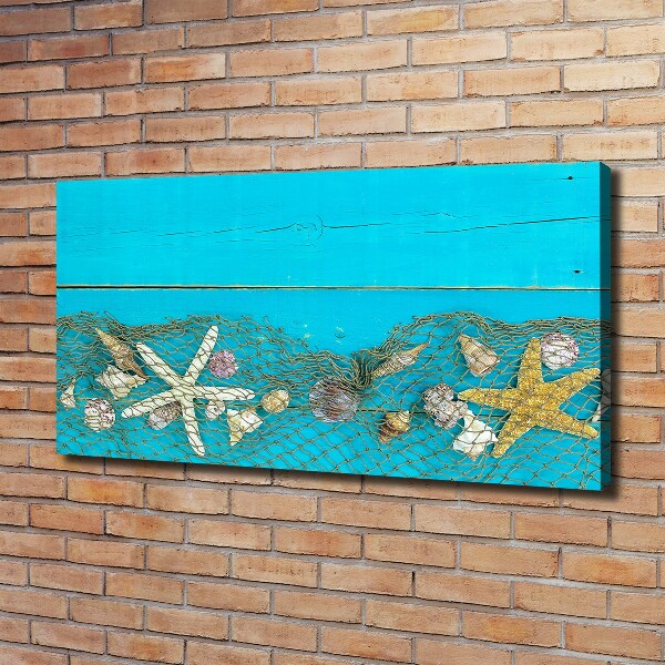 Quadro su tela Stelle marine e conchiglie