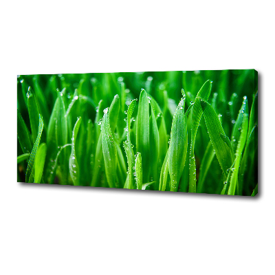 Quadro stampa su tela Erba