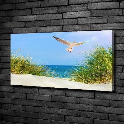 Foto quadro su tela Gabbiano sulla spiaggia