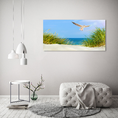 Foto quadro su tela Gabbiano sulla spiaggia