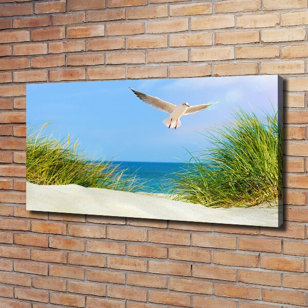 Foto quadro su tela Gabbiano sulla spiaggia