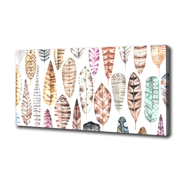 Foto quadro su tela Piume colorate