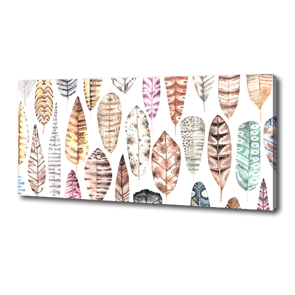 Foto quadro su tela Piume colorate