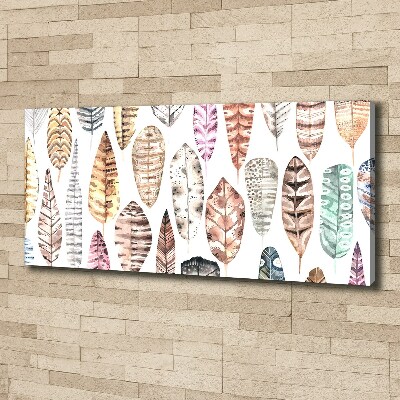 Foto quadro su tela Piume colorate