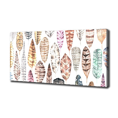 Foto quadro su tela Piume colorate