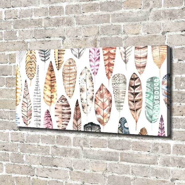 Foto quadro su tela Piume colorate