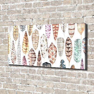 Foto quadro su tela Piume colorate