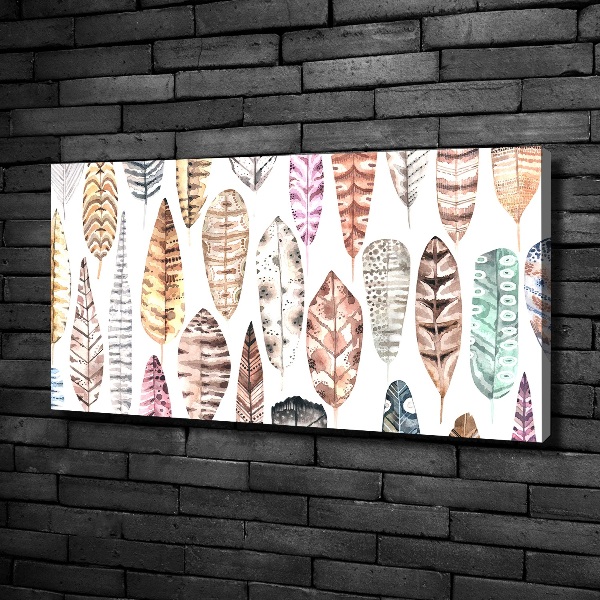 Foto quadro su tela Piume colorate