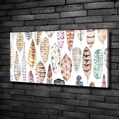Foto quadro su tela Piume colorate