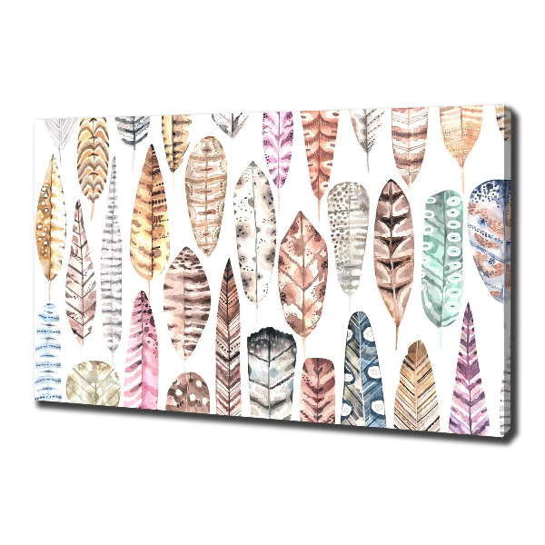 Foto quadro su tela Piume colorate