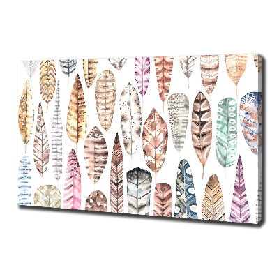 Foto quadro su tela Piume colorate