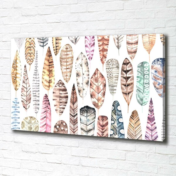 Foto quadro su tela Piume colorate