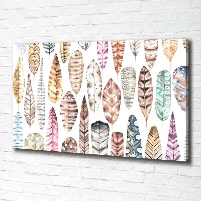 Foto quadro su tela Piume colorate