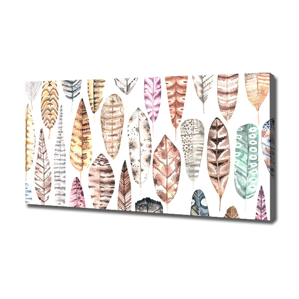 Foto quadro su tela Piume colorate