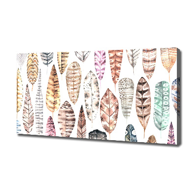 Foto quadro su tela Piume colorate