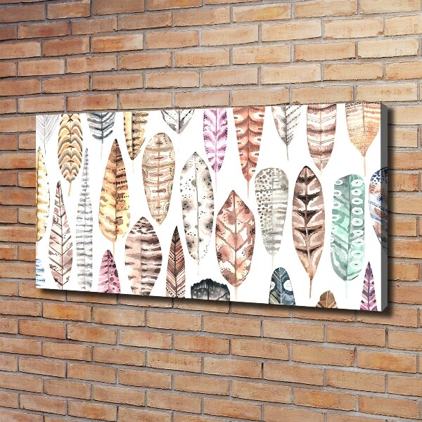 Foto quadro su tela Piume colorate