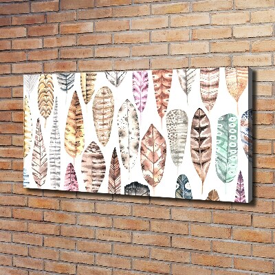 Foto quadro su tela Piume colorate