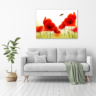 Foto quadro su tela Papaveri