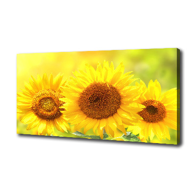 Quadro stampa su tela Girasoli