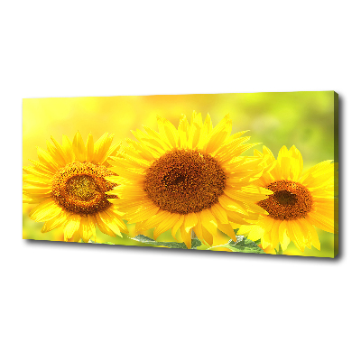 Quadro stampa su tela Girasoli