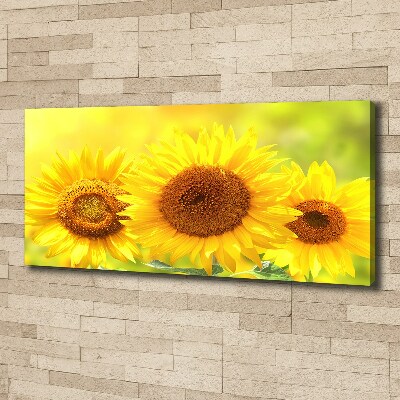 Quadro stampa su tela Girasoli