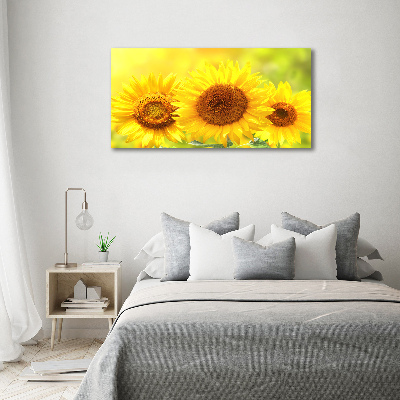 Quadro stampa su tela Girasoli