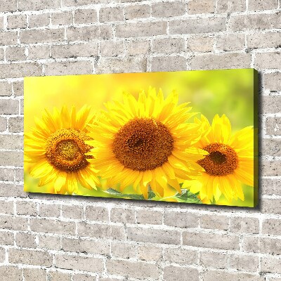 Quadro stampa su tela Girasoli