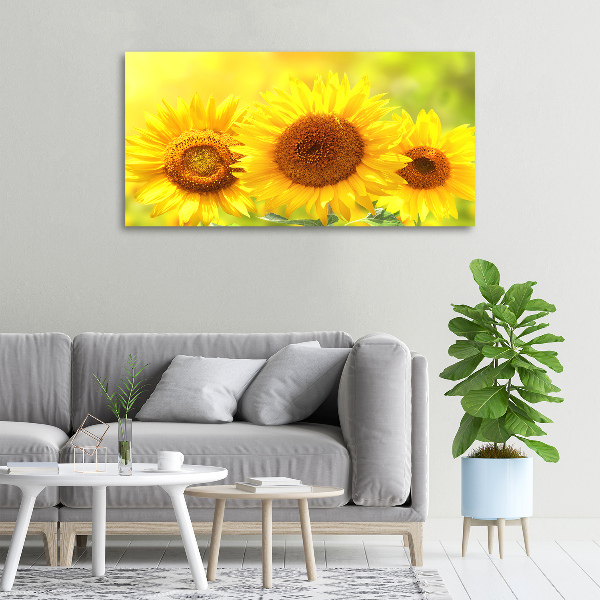 Quadro stampa su tela Girasoli