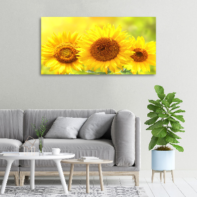 Quadro stampa su tela Girasoli