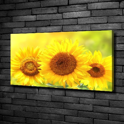 Quadro stampa su tela Girasoli